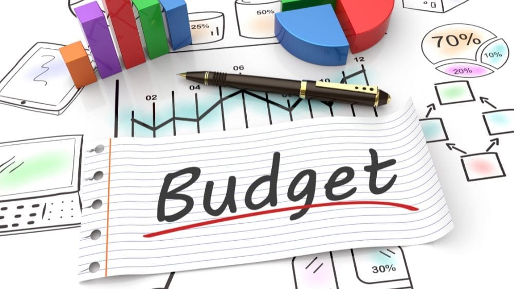 How Do You Handle Budget Management and Optimization?